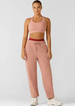 Lorna Jane Amy Maximum Support Sports Bra AshRose Clearance